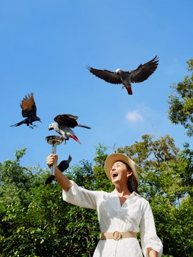 Lady feeding parrots at Bird Paradise, Singapore.