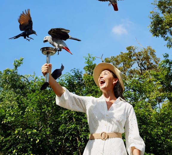 Lady feeding parrots at Bird Paradise, Singapore.