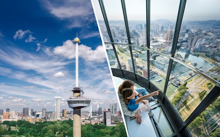 Euromast Lookout and Euroscoop Skip-the-Line Tickets
