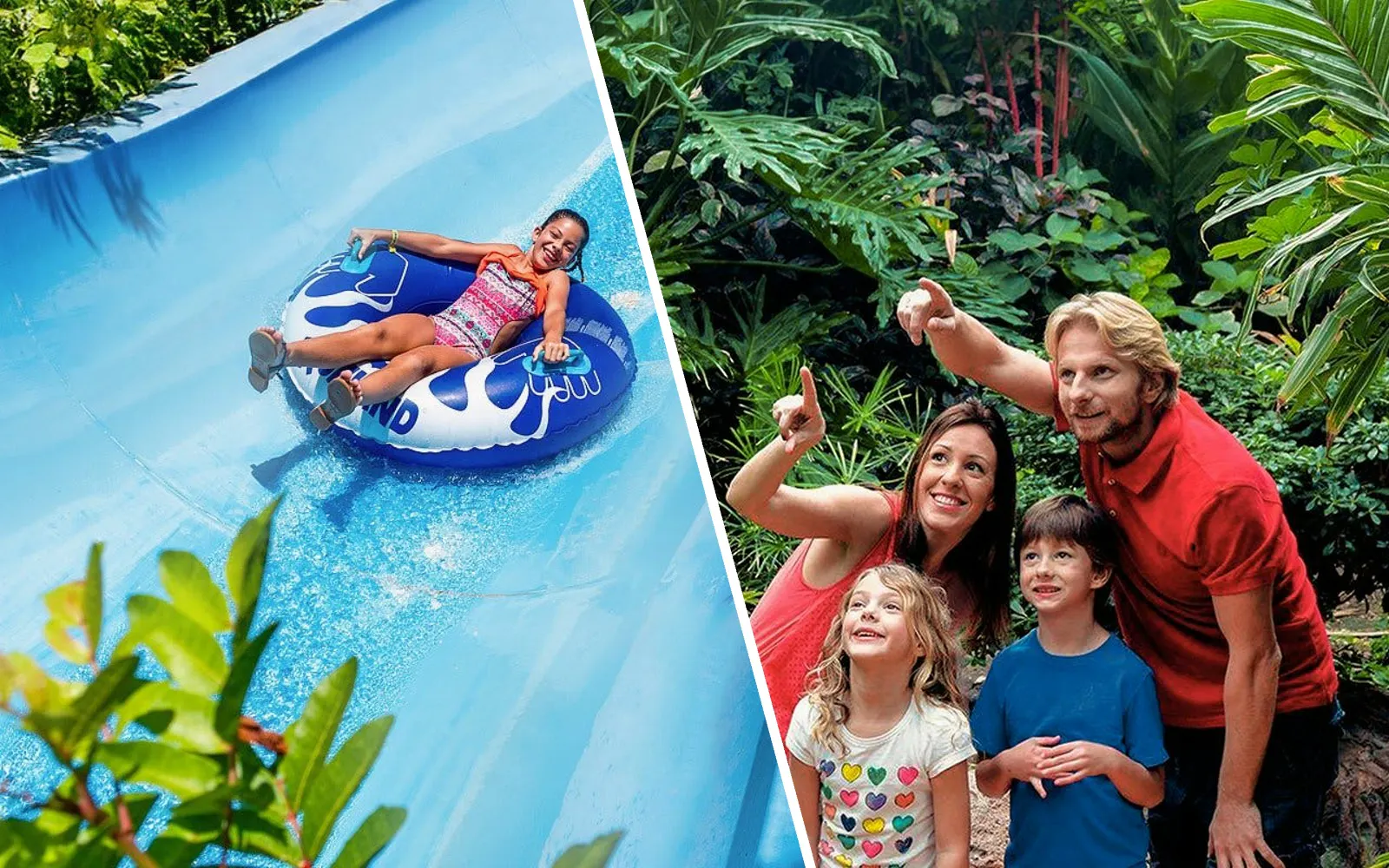 Aqualand Maspalomas & Palmitos Park Gran Canaria 1-Day Adventure Ticket