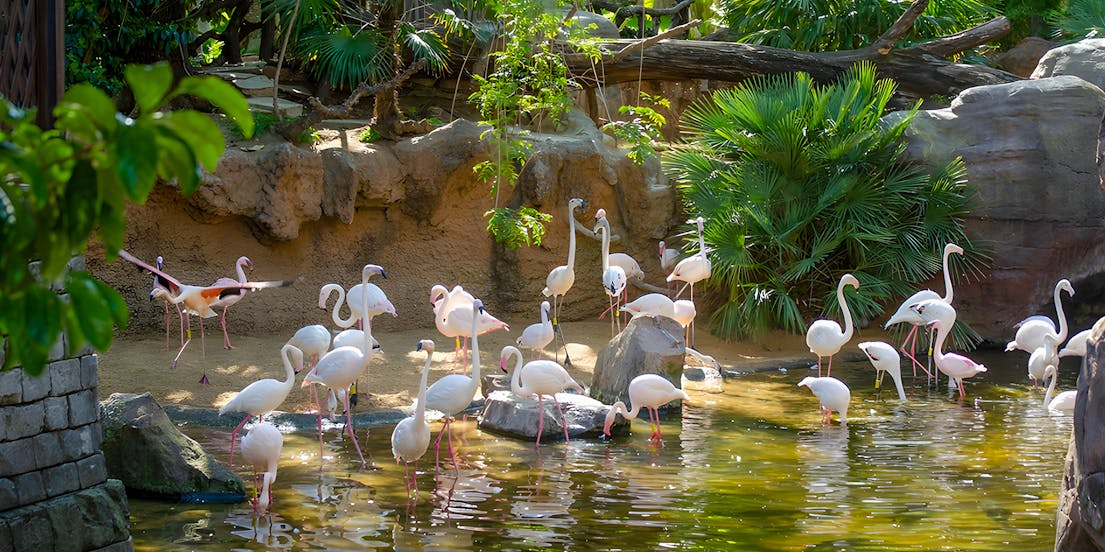 Bioparque Fuengirola