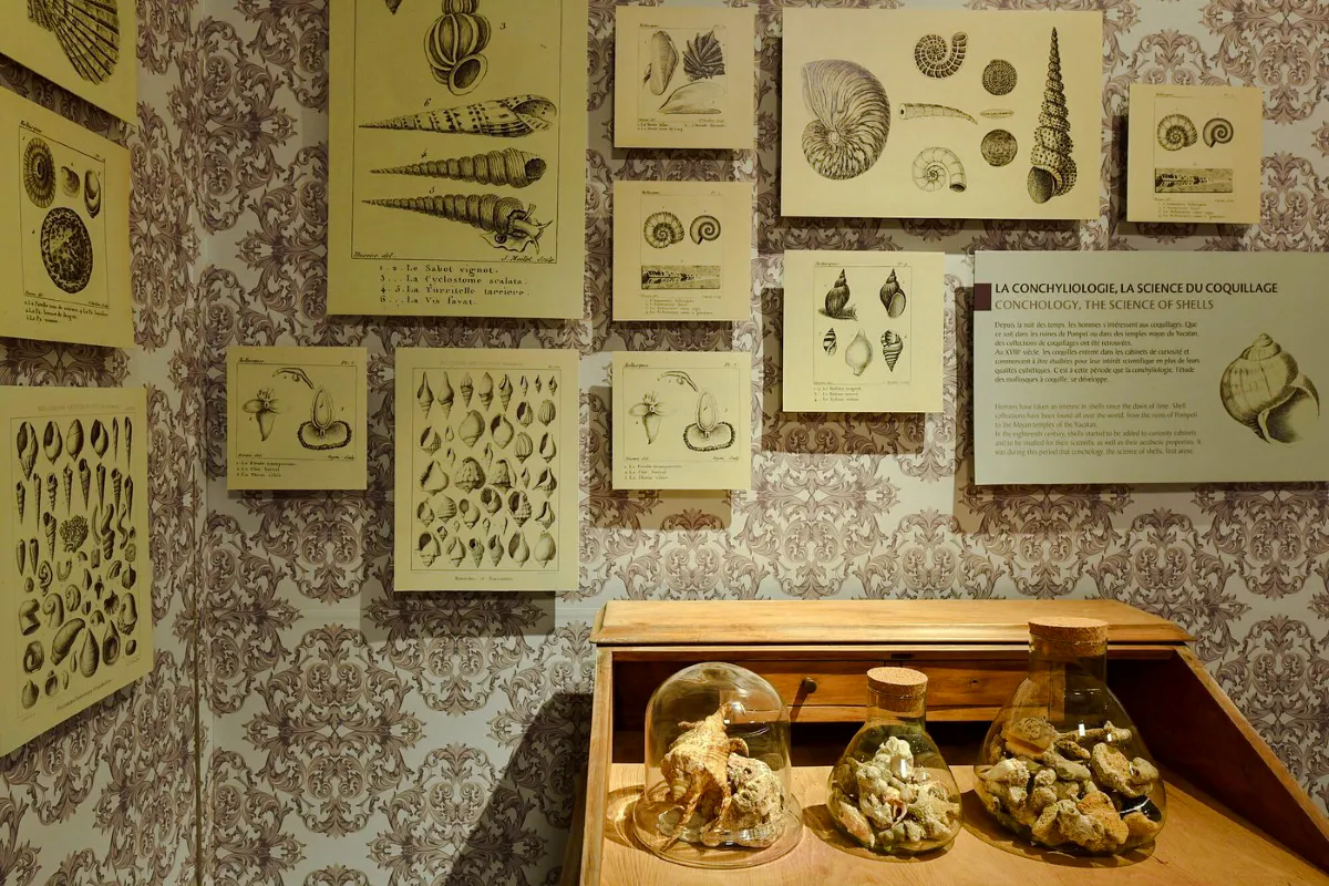 mauritius private nature tour with world of seashells museum and lunch-1