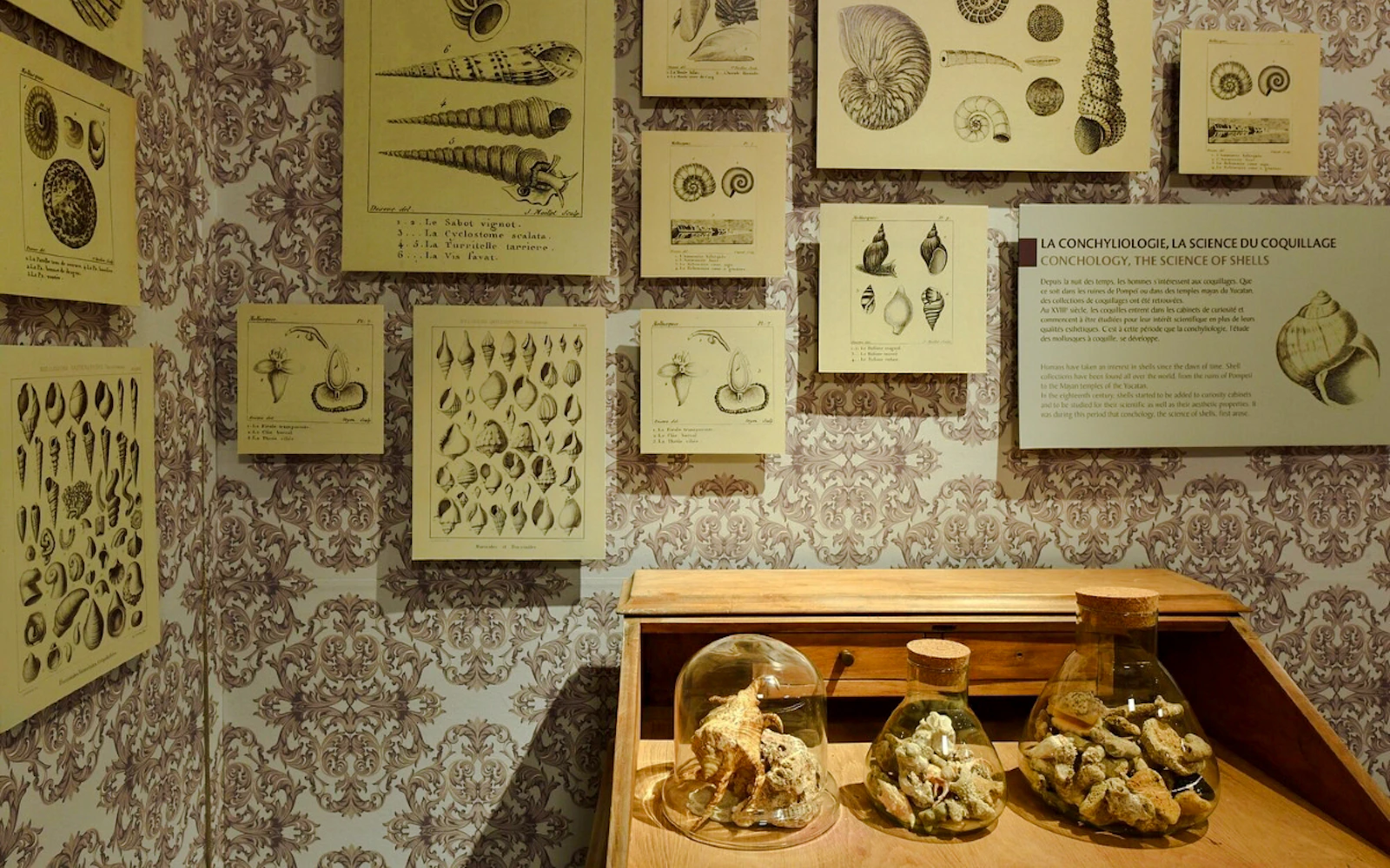Mauritius Private Nature Tour with World of Seashells Museum and Lunch