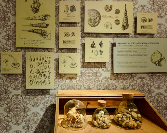 Mauritius Private Nature Tour with World of Seashells Museum and Lunch