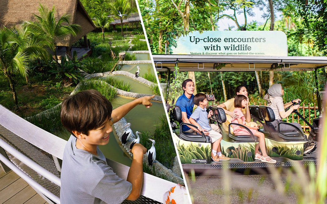 Child pointing at birds in a pond at Bird Paradise, Singapore Zoo, with a family on a tram ride nearby.