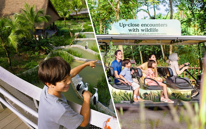 Child pointing at birds in a pond at Bird Paradise, Singapore Zoo, with a family on a tram ride nearby.