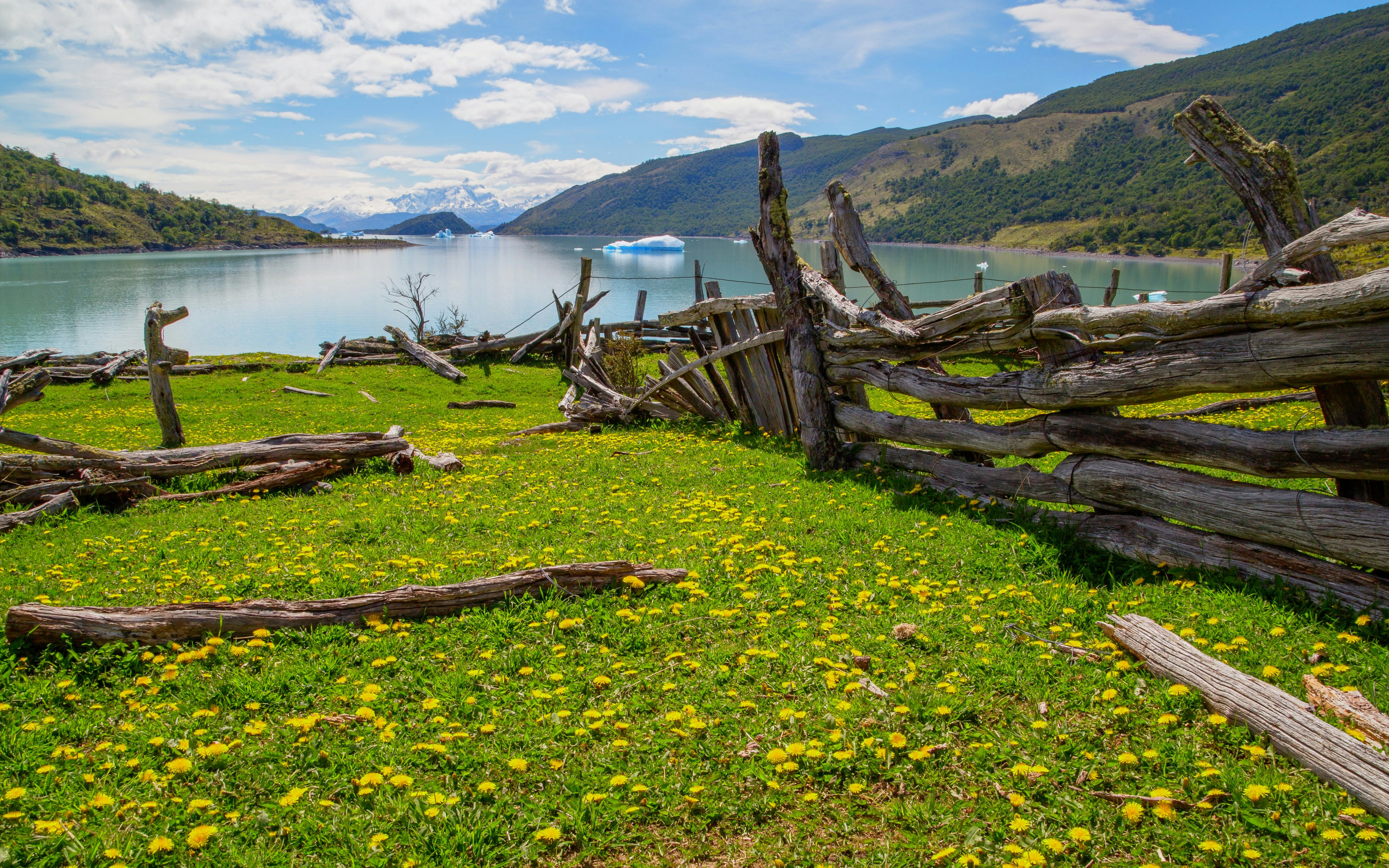 Rustic wooden fence with wildflowers by a lake in Puesto de Las Vacas, El Calafate, Argentina.
