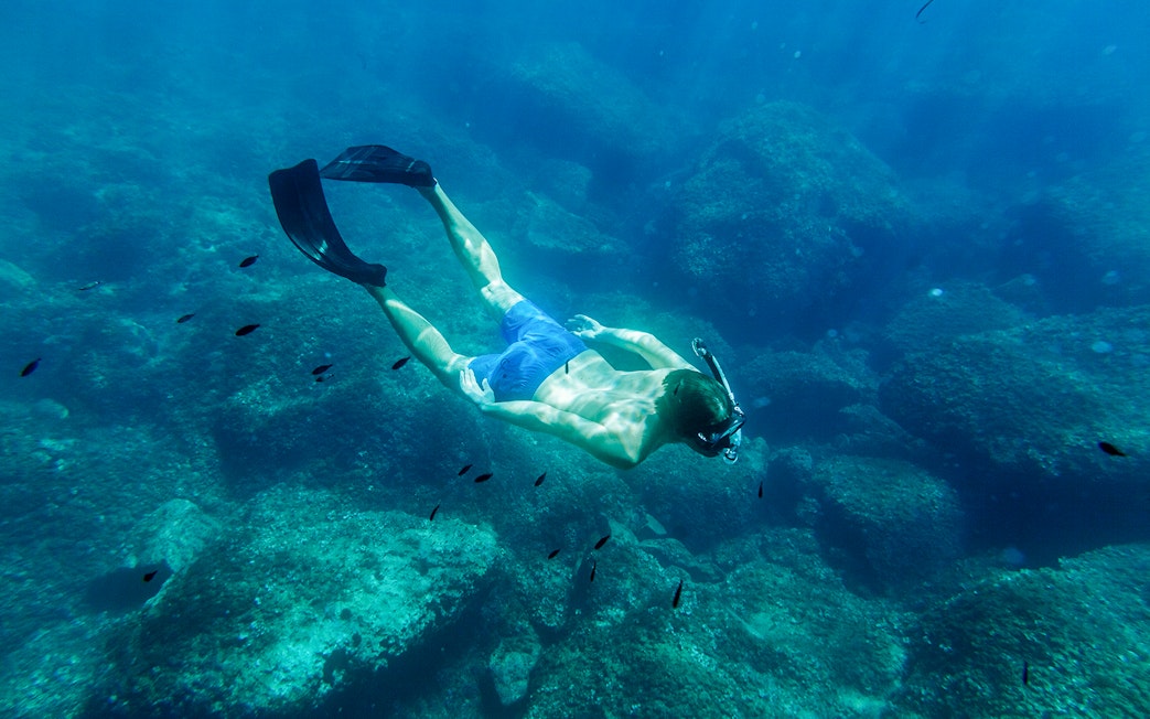 Snorkeler exploring underwater rocks in Kotor Bay during full day tour.