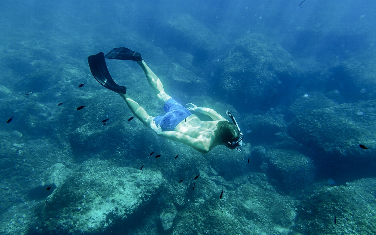 Snorkeler exploring underwater rocks in Kotor Bay during full day tour.