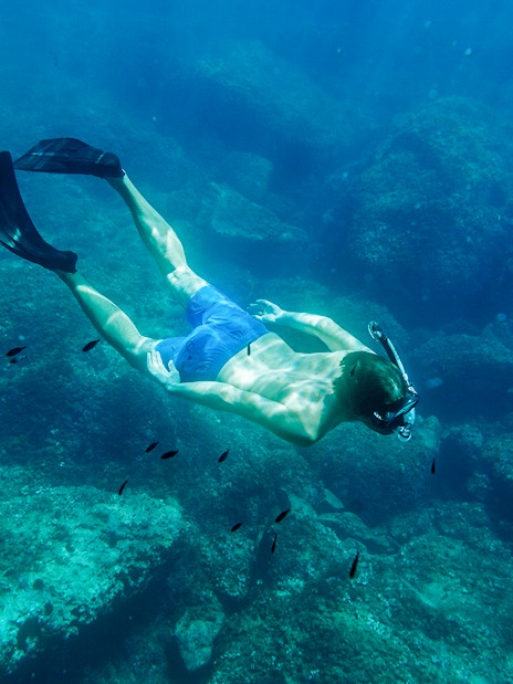 Snorkeler exploring underwater rocks in Kotor Bay during full day tour.