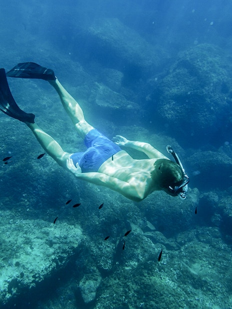 Snorkeler exploring underwater rocks in Kotor Bay during full day tour.