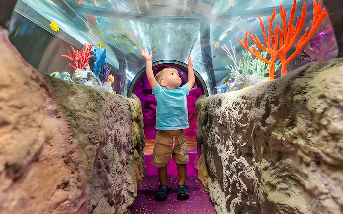 Child exploring underwater tunnel at Sea Life Aquarium, Orlando.
