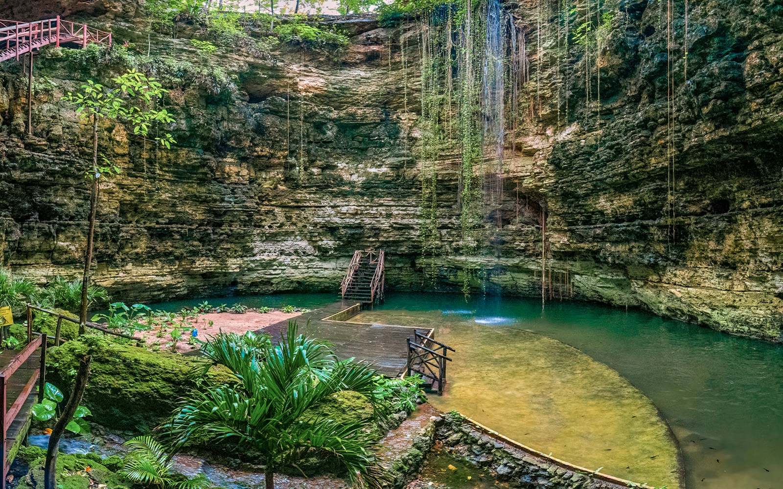 Chichikan cenote with clear water surrounded by lush greenery in Valladolid, Yucatan, Mexico.