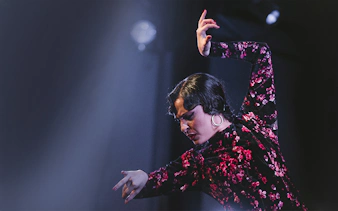 Flamenco dancer performing at Casa AnaFlamenco Show.