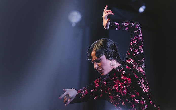 Flamenco dancer performing at Casa AnaFlamenco Show.