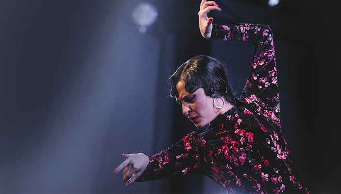 Flamenco dancer performing at Casa AnaFlamenco Show.