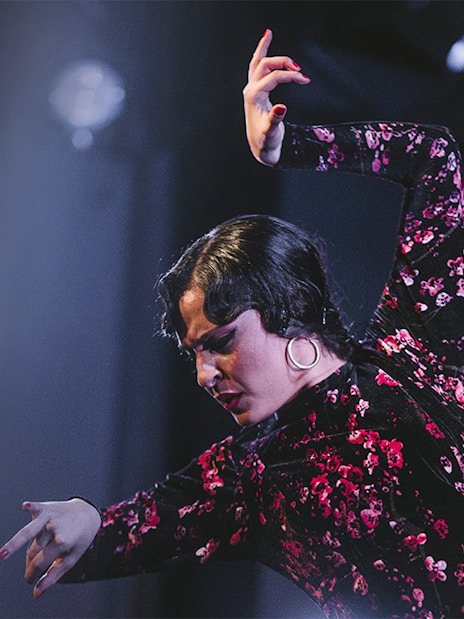 Flamenco dancer performing at Casa AnaFlamenco Show.