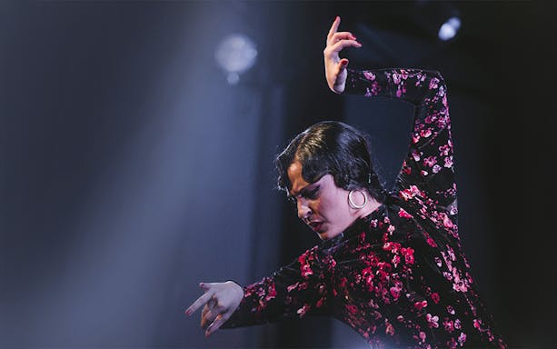 Flamenco dancer performing at Casa AnaFlamenco Show.