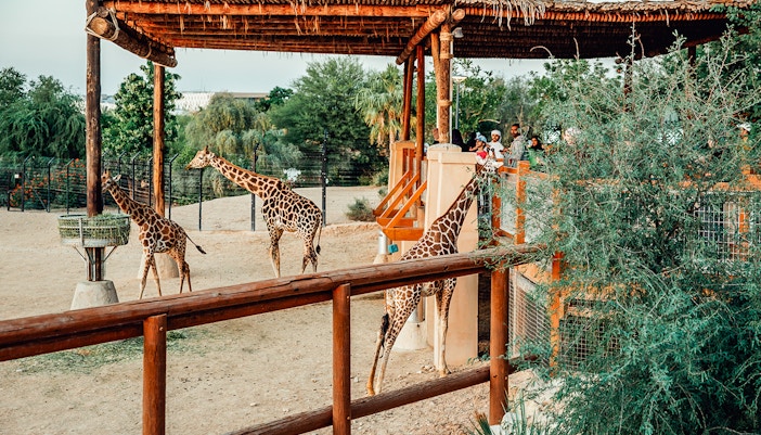 Barcelona zoo timings