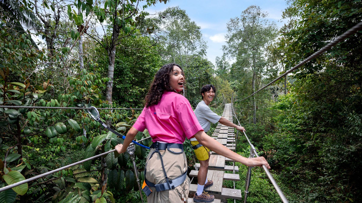 Visitors crossing a suspension bridge at Treetop Traverse, Rainforest Wild Adventure.