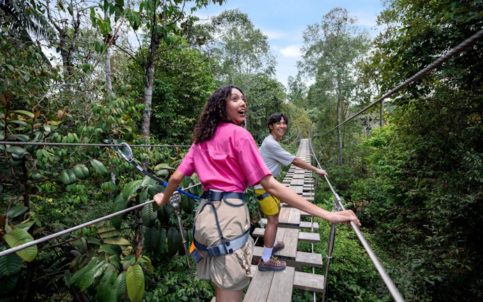 Visitors crossing a suspension bridge at Treetop Traverse, Rainforest Wild Adventure.
