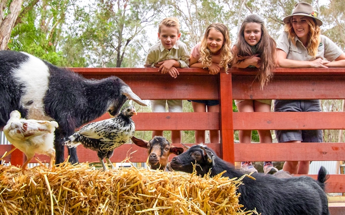 Children and a guide observe goats and chickens at Currumbin Wildlife Sanctuary.