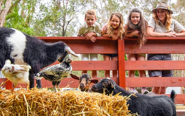 Children and a guide observe goats and chickens at Currumbin Wildlife Sanctuary.