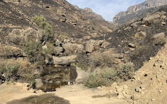 Rocky terrain and sparse vegetation on Sani Pass, part of the Mountain Splendor tour from Durban.