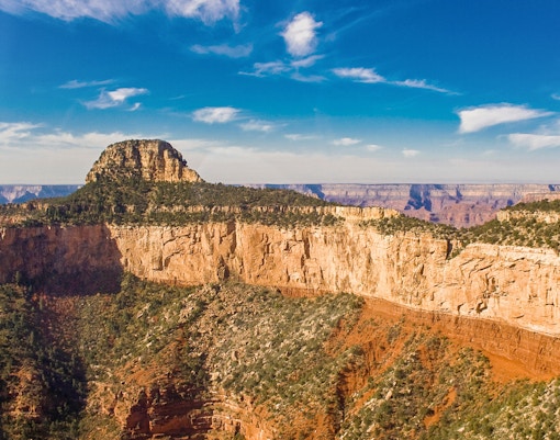 Group of tourists enjoying the breathtaking view of the Grand Canyon South Rim Tour, with the vast canyon and blue sky in the background