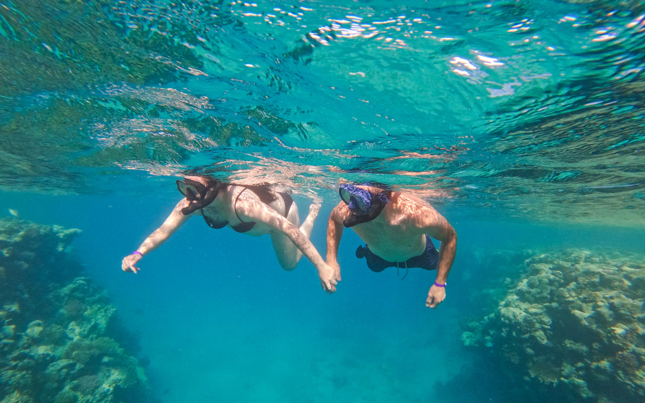 Tour in motoscafo delle 6 isole Giftun con osservazione dei delfini, snorkeling, pranzo e trasferimenti — 4