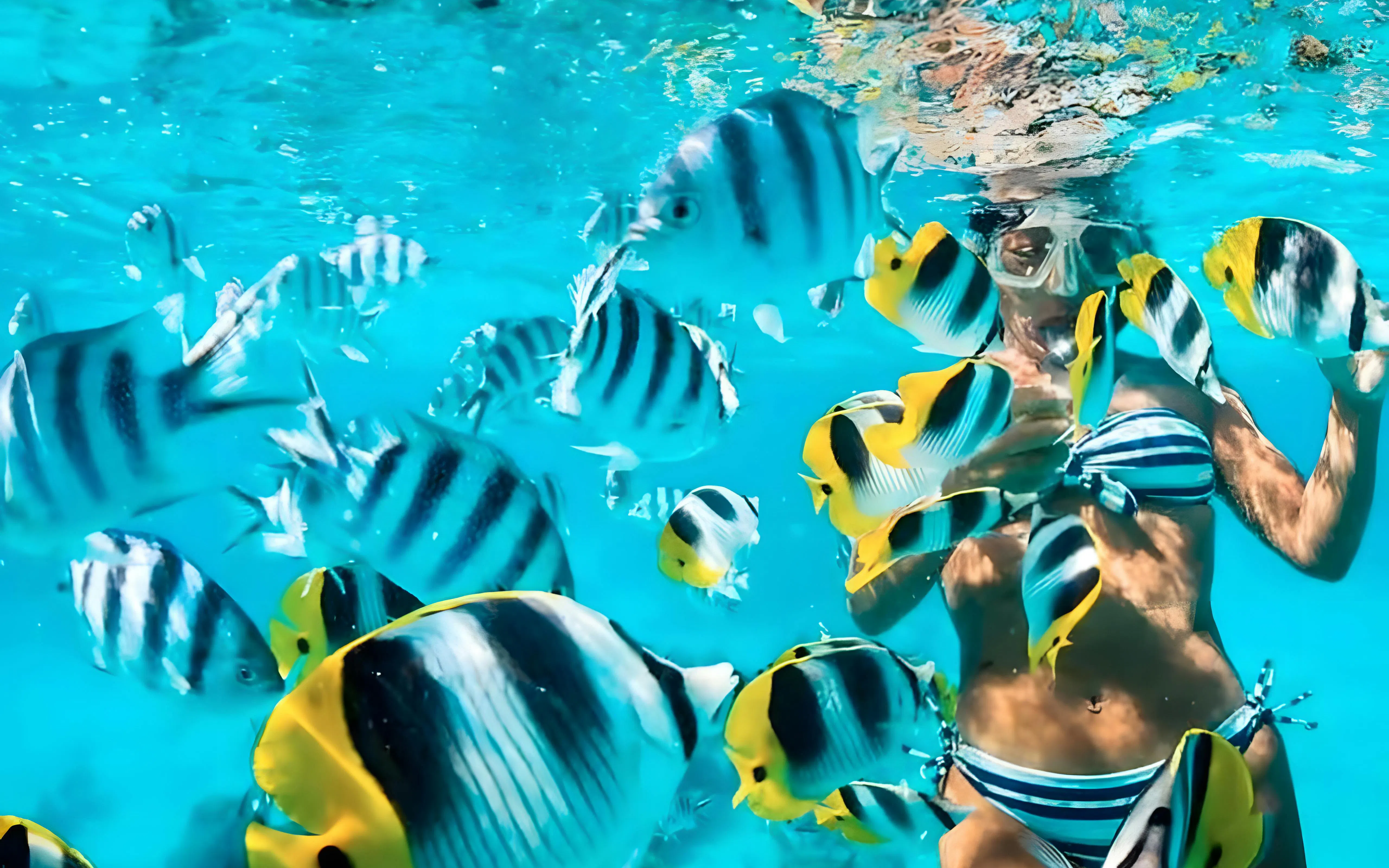 Snorkeler surrounded by tropical fish in clear waters of Rosario Islands, near Cartagena, Colombia.
