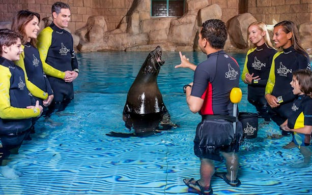Instructor at Aquaventure Waterpark guiding visitors on sea lion interaction in Dubai.
