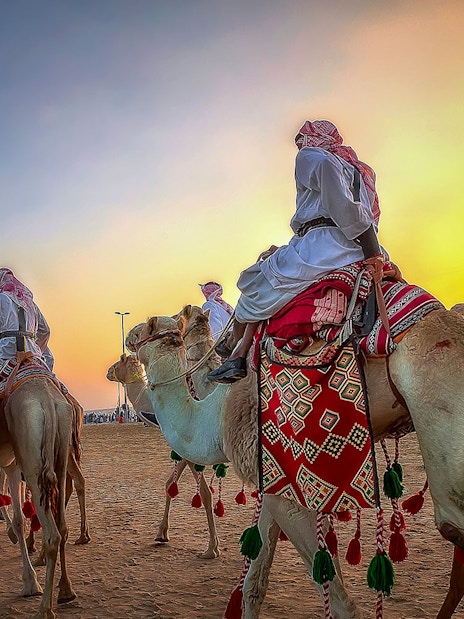 Camels with riders in traditional attire at sunset, Dubai desert safari.