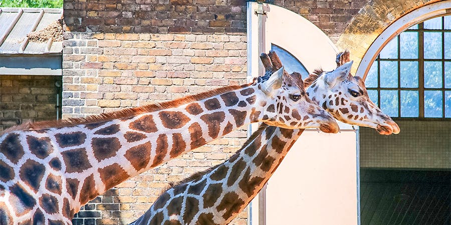 London in April - things to do