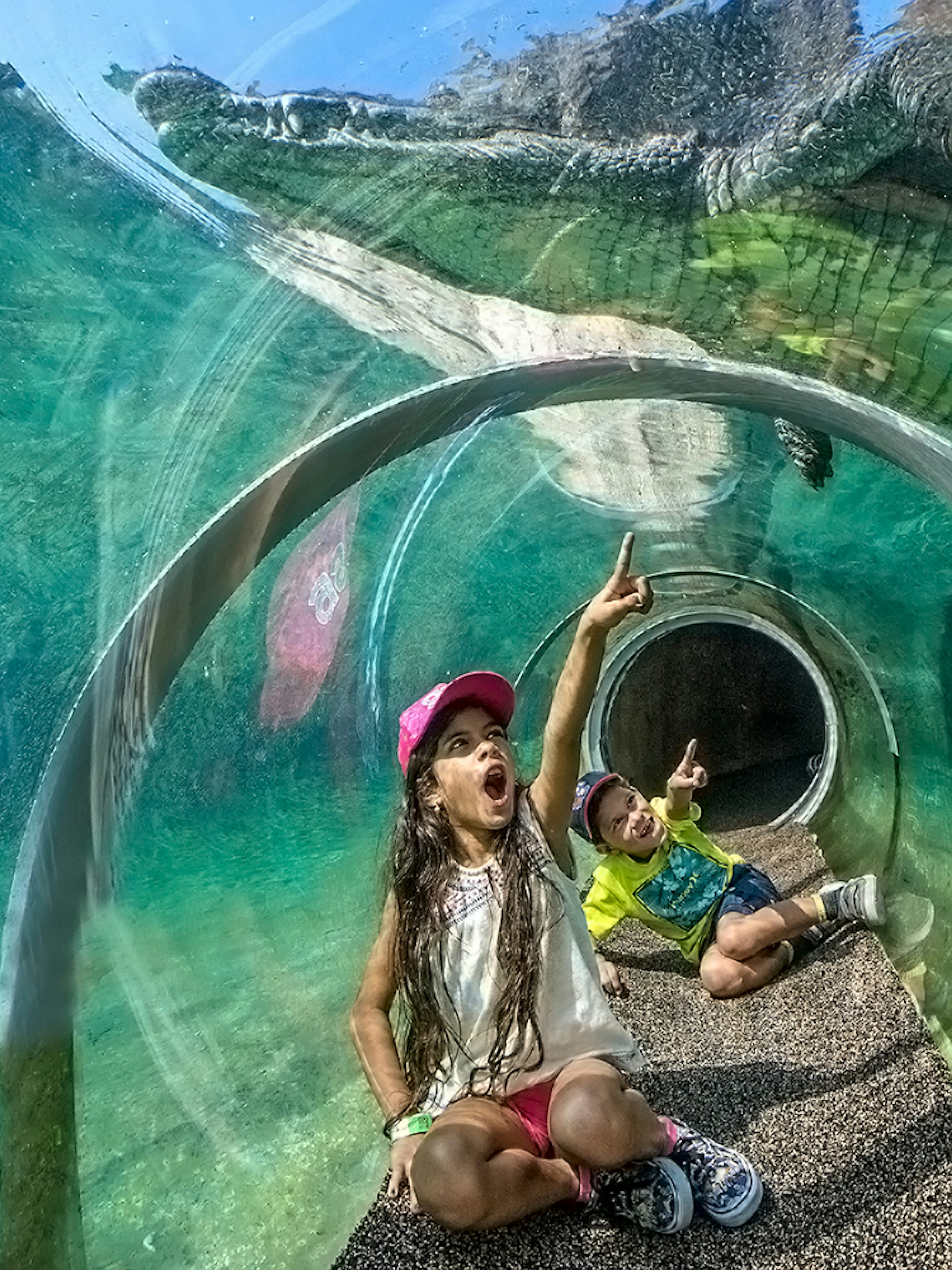 Guests in croc tube at Zoo Miami observing crocodile above.