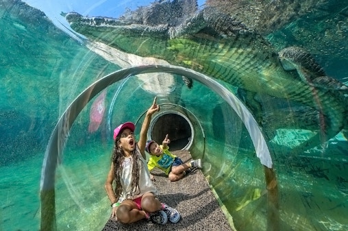 Billets pour le Zoo de Miami : Groupe de 4 et plus