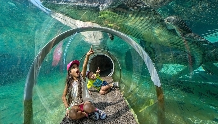 Zoo Miami with visitors observing a crocodile