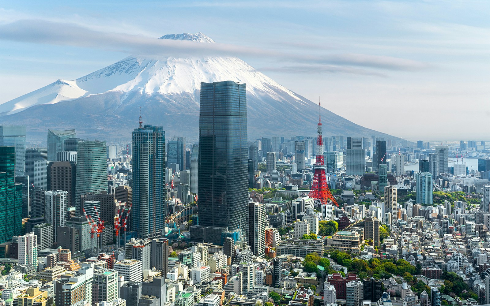 View of Tokyo city with Tokyo tower building and Fujiyama mountain