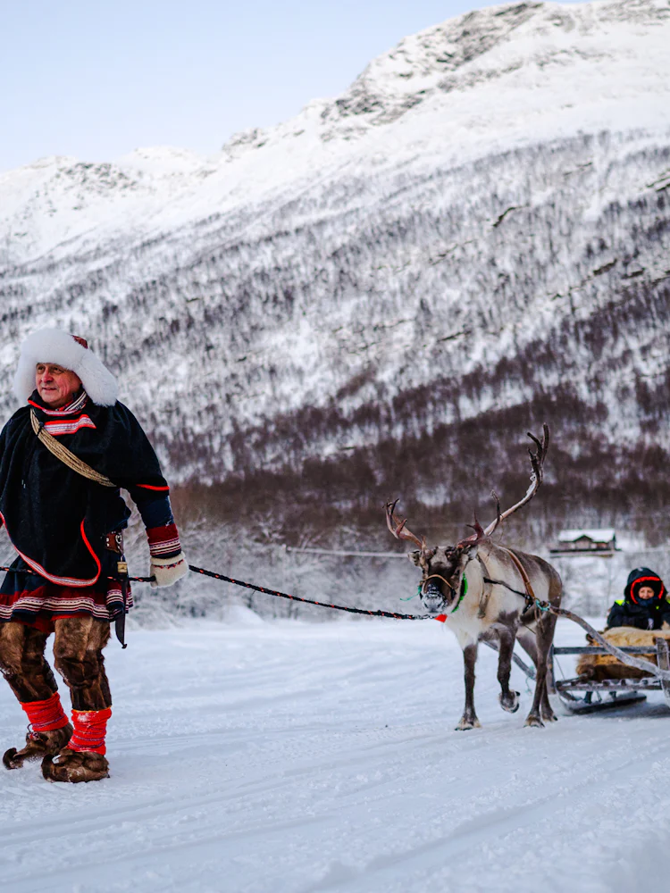 from tromsø: reindeer sledding and sámi culture tour-1