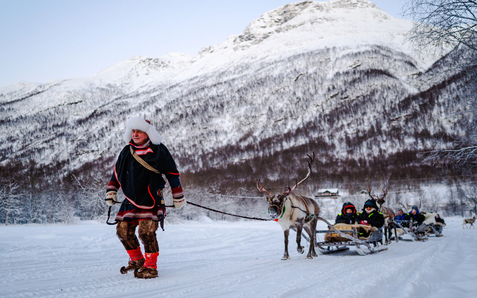 From Tromsø: Reindeer Sledding and Sámi Culture Tour
