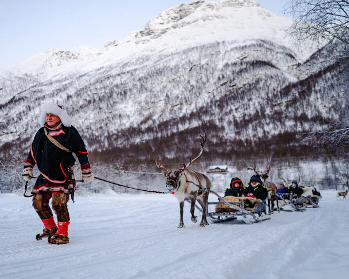 From Tromsø: Reindeer Sledding and Sami Culture Tour with Lunch and Hot Drinks (Product 49035)