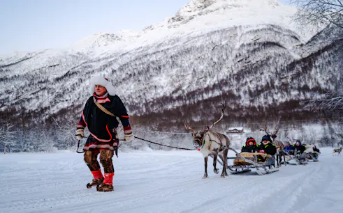 tromsø'dan: ren geyiği kızak turu ve sámi kültürü turu-1