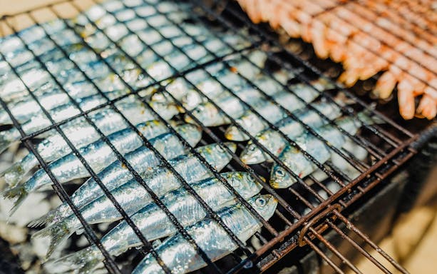 Grilled sardines and prawns on a barbecue during Albufeira cruise and beach BBQ.