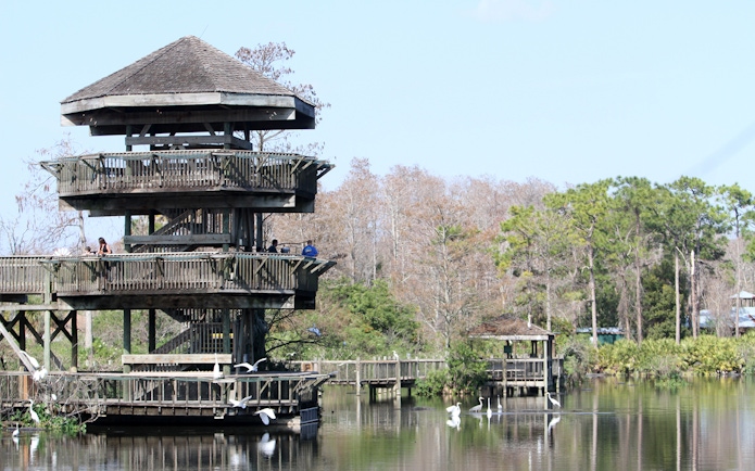 Observation tower overlooking a lake with birds at Gatorland, Florida.