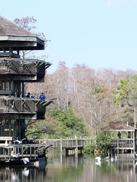 Observation tower overlooking a lake with birds at Gatorland, Florida.