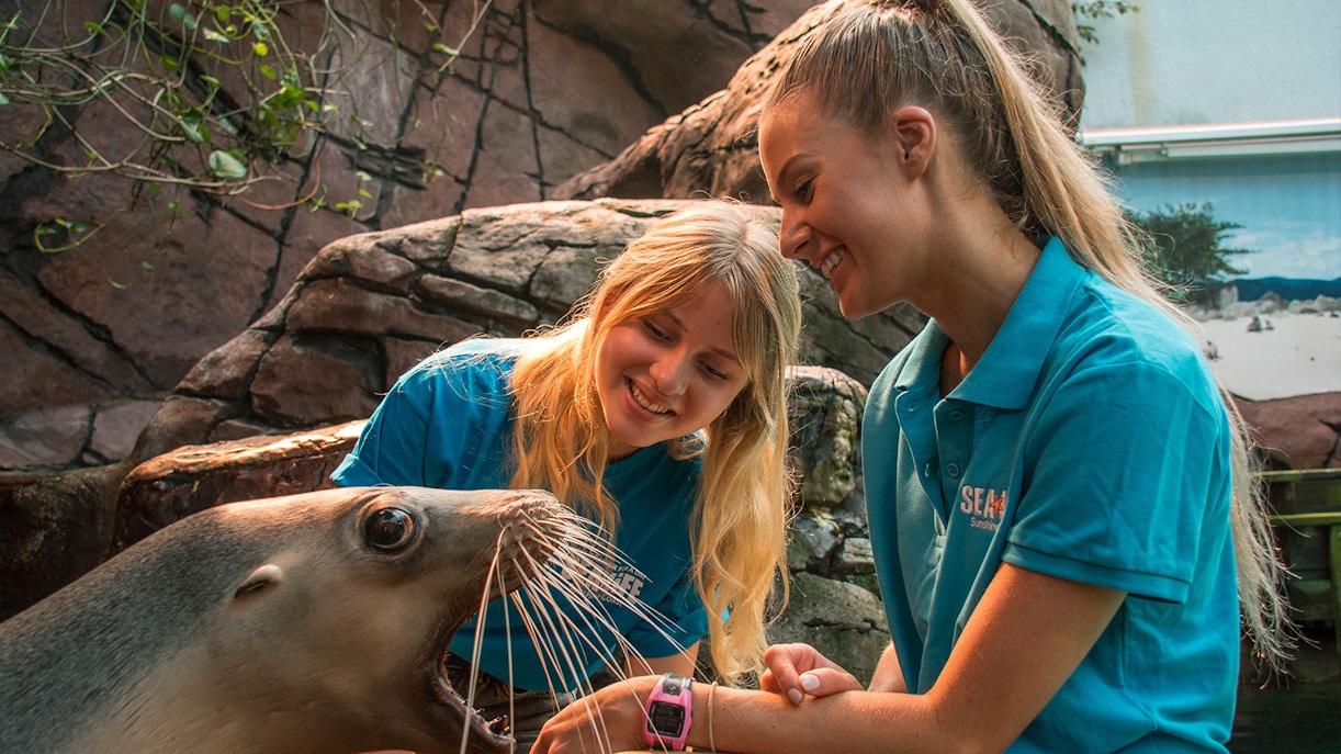 SEA LIFE Sunshine Coast