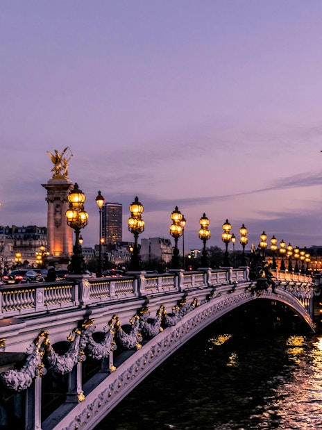 Illuminated Pont Alexandre III bridge in Paris at dusk.