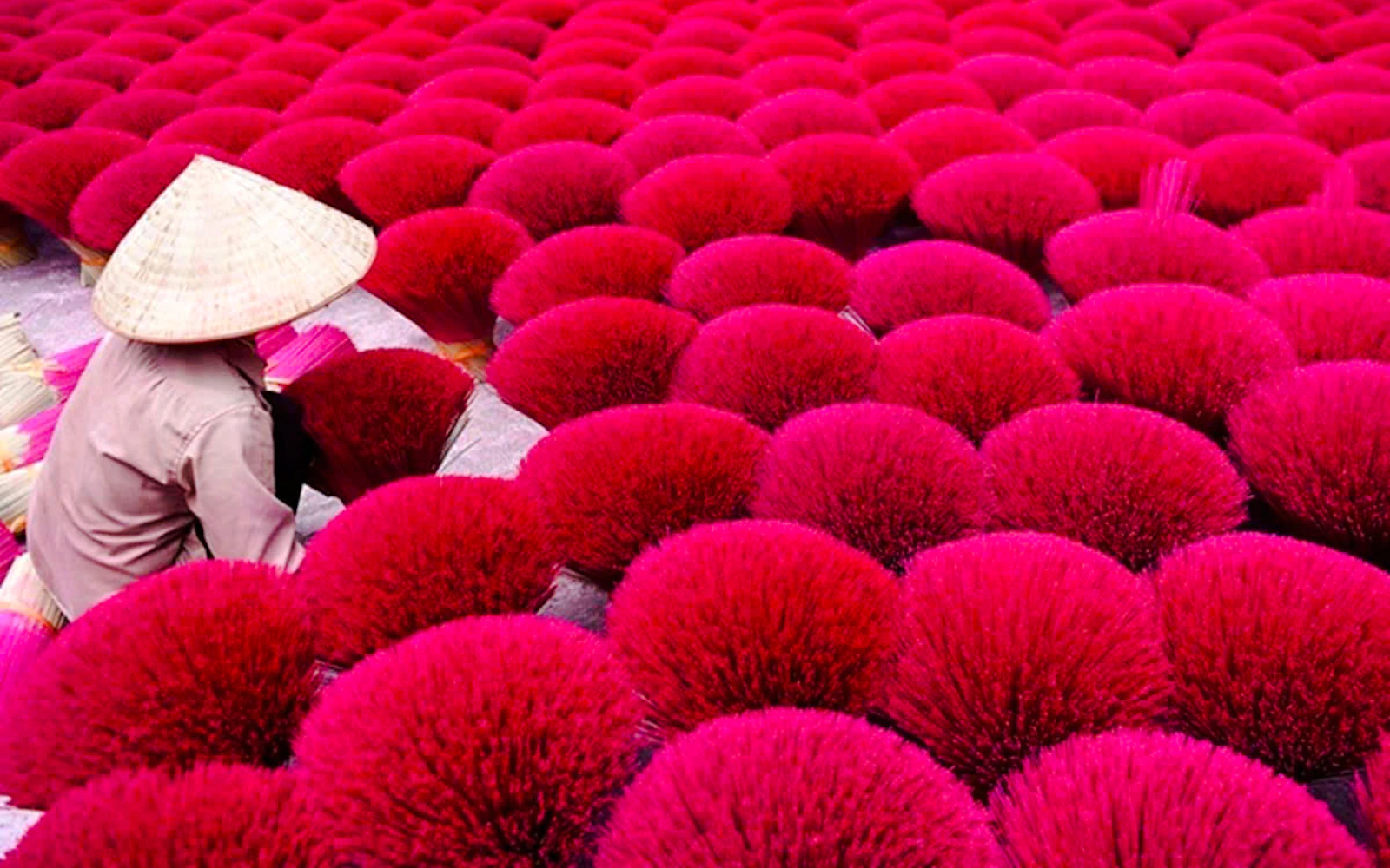 From Hanoi: Conical Hat Village and Quang Phu Cau Incense Village Tour