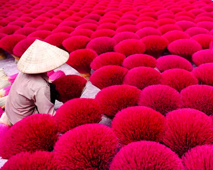 From Hanoi: Conical Hat Village and Quang Phu Cau Incense Village Tour