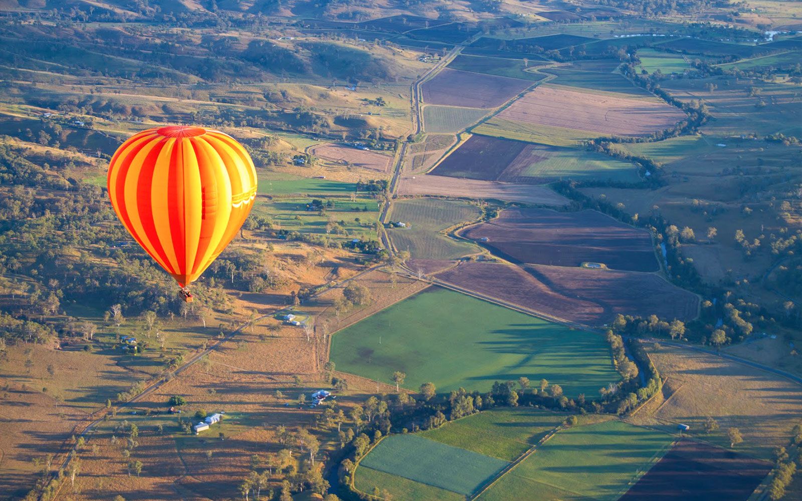 Hot air balloon floating over scenic countryside landscape with fields and trees.